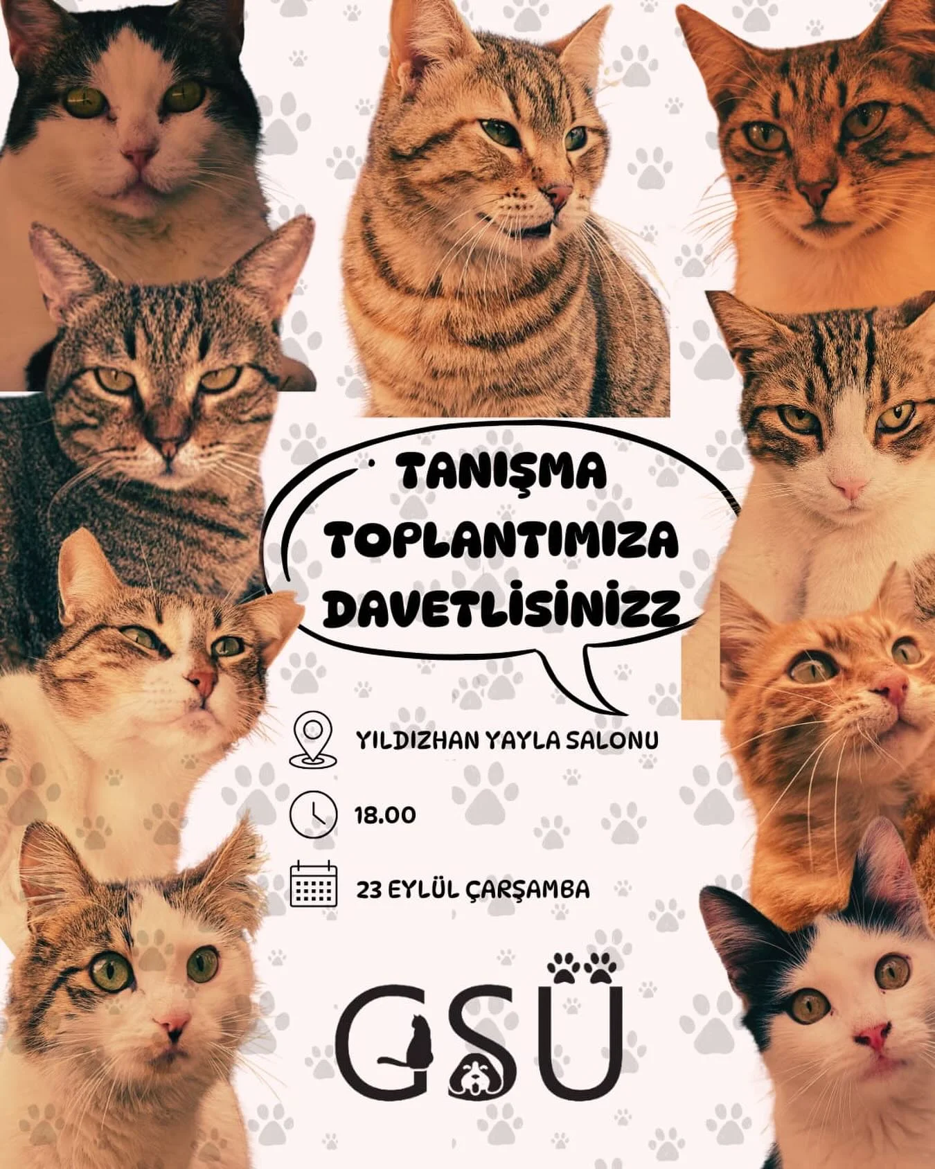 Tanışma Toplantısı