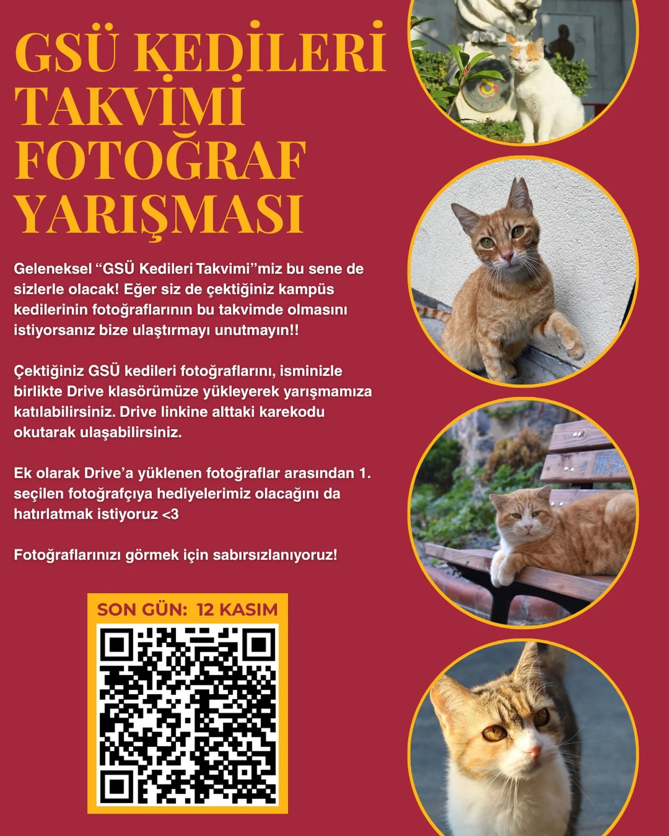 @gsusokakhayvanlari — GSÜ Kedileri Takvimi Fotoğraf Yarışması